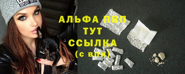 spice Няндома