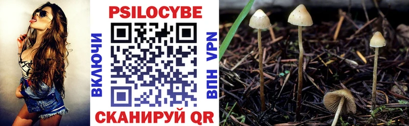 Галлюциногенные грибы MAGIC MUSHROOMS  Купить где  Шатура 